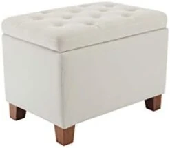 Wovenbyrd Classic 24-Inch Wide Rectangular Tufted Storage Ottoman Footstool With Hinged Lid, Cream Fabric -Safavieh Furniture 21iRPCscdwL. AC