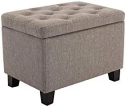 Wovenbyrd Classic 24-Inch Wide Rectangular Tufted Storage Ottoman Footstool With Hinged Lid, Cream Fabric -Safavieh Furniture 316Jz4BdllL. AC