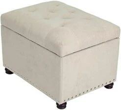 Joveco 24" Ottoman With Storage For Living Room Rectangular Fabric Tufted Bench Footrest - Light Grey -Safavieh Furniture 31LBms 2GjL. AC