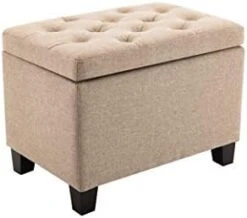 Wovenbyrd Classic 24-Inch Wide Rectangular Tufted Storage Ottoman Footstool With Hinged Lid, Cream Fabric -Safavieh Furniture 31SbcZknNZL. AC