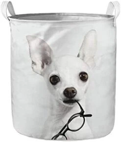 UZZUHI Kawaii Cartoon Cactus Laundry Hamper Heavy Duty Big Kids Hamper Foldable With Handles Partable Modern Storage Basket Sturdy For Baby Nursery Dorms -Safavieh Furniture 31VwuW6zAYL. AC