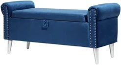 Doublewin 47-inch Long Storage Bench Bedroom End Of Bed Storage Ottoman Bench Velvet Tufted Upholstered Rolled Arm Window Bench With Storage Nailhead Entryway Bench For Living Room Bedroom,Grey -Safavieh Furniture 31rFrwqKqkL. AC
