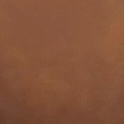 Amazon Brand – Rivet Decatur Modern Faux Leather Dining Chair, Set Of 2, 21"W, Tan Brown -Safavieh Furniture 31x2AvE9euL