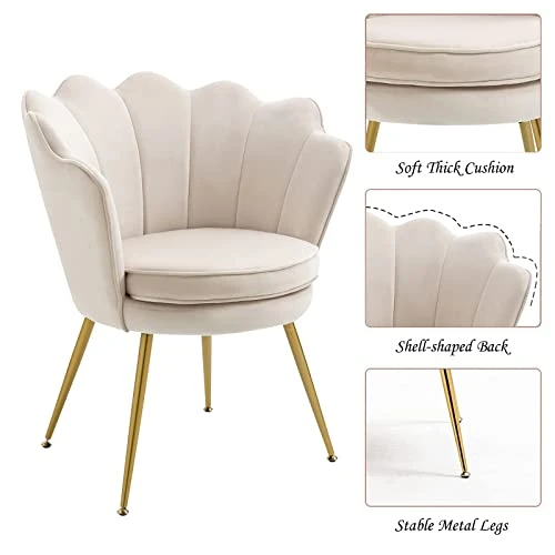 ZJhome Modern Accent Velvet Chairs Set Of 2 Comfy Upholstered Vanity Chairs For Bedroom Shell-Shaped Armchair Dining Chairs With Golden Metal Legs Desk Chair Makeup Chairs For Living Room(Beige) 3 ZJhome Modern Accent Velvet Chairs Set Of 2 Comfy Upholstered Vanity Chairs For Bedroom Shell-Shaped Armchair Dining Chairs With Golden Metal Legs Desk Chair Makeup Chairs For Living Room(Beige) - Image 3