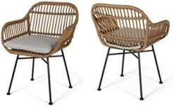 Christopher Knight Home Rodney Indoor Woven Faux Rattan Chairs With Cushions (Set Of 2), Light Brown And Beige Finish -Safavieh Furniture 414VkTUNrL. AC