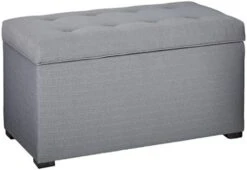 MJL Furniture Designs Angela Collection Button Tufted Upholstered Lift Top Medium Sized Bedroom Chest Storage Trunk, HJM100 Series, Beige -Safavieh Furniture 414nEDULHhL. AC