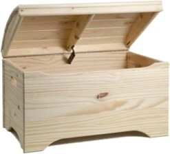 Little Colorado Treasure Toy Chest -Safavieh Furniture 415EJOmGgRL. AC