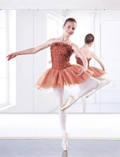 Trico-op Wall-Mounted Gym Activity Mirror For Gymnastics, Yoga, Fitness, Dancing-48”x32” (1)