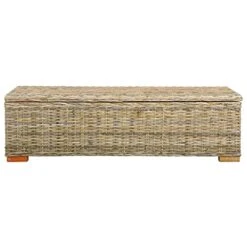 VidaXL Solid Mango Wood Storage Box Trunk Bed End Bench Living Room Home Furniture Interior Bedroom Hallway Wooden Black Kubu Rattan -Safavieh Furniture 41BrQOO4AiL