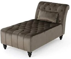 Christopher Knight Home Rubie Velvet Chaise, Grey 54D X 28.5W X 30.25H In -Safavieh Furniture 41EOBolQsTL. AC