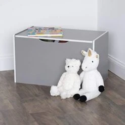 Humble Crew Expedition Hinged Toy Storage Chest With Lid, White & Natural Wood -Safavieh Furniture 41EZq5RoBtL. AC