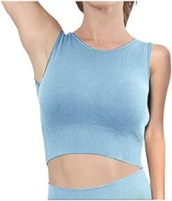 MatureGirl Running Steel No Women's Vest Blouse Back Yoga Bra Top Indoor Cross Ring Outdoor Yoga Bra Adjustable (Blue, L) -Safavieh Furniture 41IUvmV6RS. AC 3