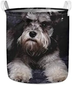 UZZUHI Kawaii Cartoon Cactus Laundry Hamper Heavy Duty Big Kids Hamper Foldable With Handles Partable Modern Storage Basket Sturdy For Baby Nursery Dorms -Safavieh Furniture 41Tm3vWUw0L. AC