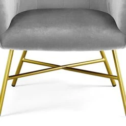 Topeakmart Modern Accent Barrel Chair Living Room Chair Velvet Accent Armchair With Metal Legs For Living Room Bedroom Home Office Grey 12 Topeakmart Modern Accent Barrel Chair Living Room Chair Velvet Accent Armchair With Metal Legs For Living Room Bedroom Home Office Grey -Safavieh Furniture 41Wn5DXQ0ZL