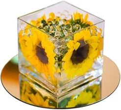 Round Glass Mirror- 10" Home/Centerpiece - 1/4" Thick - Flat Polished 27 Round Glass Mirror- 10" Home/Centerpiece - 1/4" Thick - Flat Polished -Safavieh Furniture 41WyhP pPL. AC 1