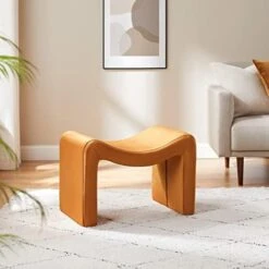 VANOMi Small Footstool Ottoman, Multi-Functional Modern Foot Stool, Sofa Footrest Extra Seating For Living Room, Entryway, Hallways And Bedrooms -Safavieh Furniture 41ZdqBWwBfL. AC 1
