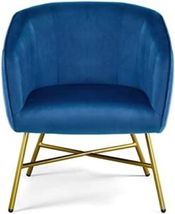 Topeakmart Modern Accent Barrel Chair Living Room Chair Velvet Accent Armchair With Metal Legs For Living Room Bedroom Home Office Grey 13 Topeakmart Modern Accent Barrel Chair Living Room Chair Velvet Accent Armchair With Metal Legs For Living Room Bedroom Home Office Grey -Safavieh Furniture 41ZqqRfO0bL. AC