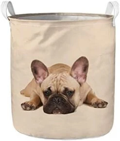 UZZUHI Kawaii Cartoon Cactus Laundry Hamper Heavy Duty Big Kids Hamper Foldable With Handles Partable Modern Storage Basket Sturdy For Baby Nursery Dorms -Safavieh Furniture 41ewZRqnt1L. AC