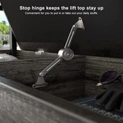 Homieasy Storage Shoe Bench With Padded Seat, Entryway Bench With Lift Top Storage Box, Industrial Shoe Rack Bench PU Leather Cushion Holds Up To 250 LB For Entryway Bedroom Hallway, Black Oak 12 Homieasy Storage Shoe Bench With Padded Seat, Entryway Bench With Lift Top Storage Box, Industrial Shoe Rack Bench PU Leather Cushion Holds Up To 250 LB For Entryway Bedroom Hallway, Black Oak -Safavieh Furniture 41hHW5fuT2L