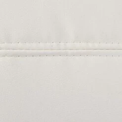 Coaster Furniture Dilleston Chaise White Faux Leather Polyurethane Chrome 550078 11 Coaster Furniture Dilleston Chaise White Faux Leather Polyurethane Chrome 550078 -Safavieh Furniture 41iwuF6hJRL