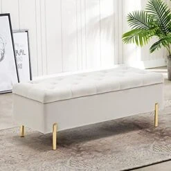 Apeaka Storage Bench Velvet Upholstered Tufted Settee Bench For Bedroom Living Room Entryway Rectangular Ottoman Bench Ivory 15 Apeaka Storage Bench Velvet Upholstered Tufted Settee Bench For Bedroom Living Room Entryway Rectangular Ottoman Bench Ivory -Safavieh Furniture 513mw1FZ6BL. AC