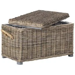 Unknown Grey Natural Rattan Storage Trunk - 29.9" X 18.1" 18.7" Nautical Coastal Mahogany 1 Piece