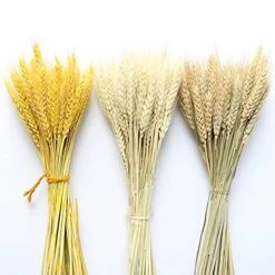 50PCs Natural Dried Wheat Ear Flower Real Flowers Bouquet Ornaments Wedding Decoration For Home Decor DIY Party Christmas Plants