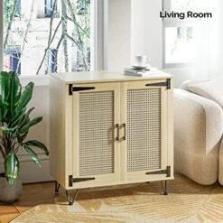 VINGLI 2 Door Accent Cabinet Set Of 2 Rattan Buffet Cabinet Boho Sideboard Wicker Credenzas For Living Room,31.2"(W) X15.7(D) X30(H),Oak -Safavieh Furniture 51fGr8bxdzL