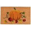 Calloway Mills 121981729 Nature's Bounty Doormat, 17" X 29", Multicolor