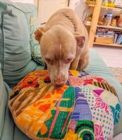 Mandala Life ART Blue Pouf Ottoman Cover -24x8 Inches - Moroccan Décor Pouffe Footstool For Kids Room Living Bedroom Bohemian Furniture -Safavieh Furniture 51z7ahVnQAL. AC