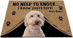 BAGEYOU Personalized Dog's Name Doormat With My Love Dog German Shepherd Welcome Floor Mat No Need To Knock I Know You're Here 27.5" X 17.7" -Safavieh Furniture 51zCtvgjgBL. AC