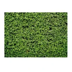 MatureGirl Photography Grain Wood Background Cloth Shooting 3D Background Cloth Imitation Home Decor Banana Leaf Fabric (Multicolor, One Size)