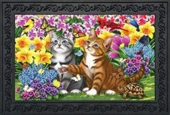 Briarwood Lane Garden Kittens Spring Doormat Floral Indoor Outdoor 30" X 18" -Safavieh Furniture 61cbJlikziL. AC